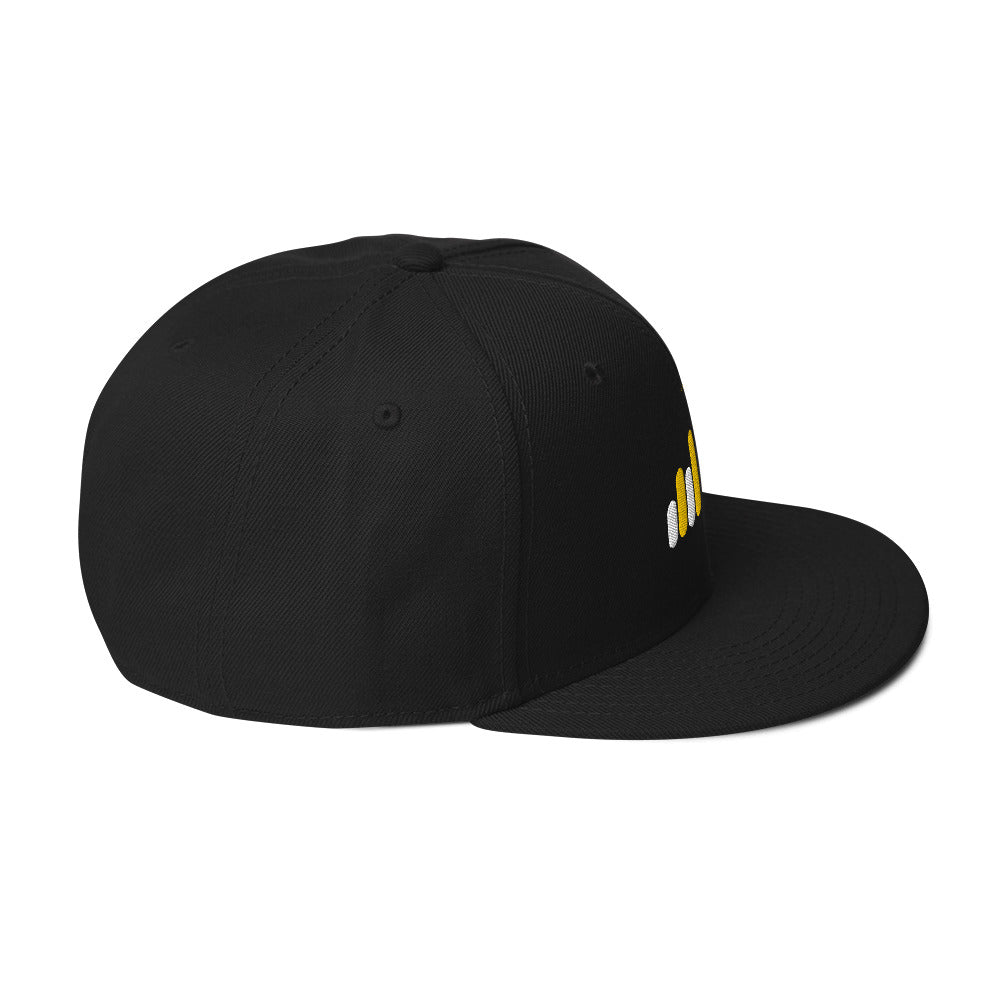 YDM Snapback Hat